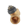 DN25 two-way Brass Valve Body Pipe thread G 