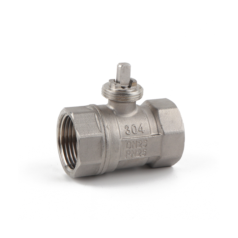DN25 two-way Valve Body Pipe thread G Stainless steel