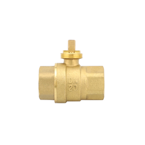 DN20 two-way Valve Body Pipe thread G