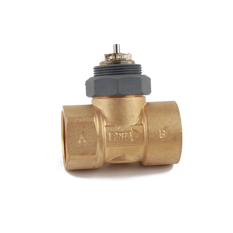 DN25 two-way Brass Valve Body Pipe thread G 