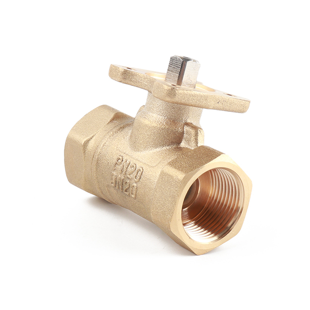 DN20 two-way Valve Body