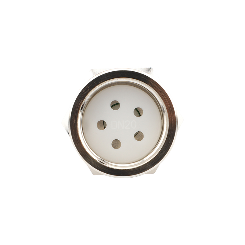 Check Valve