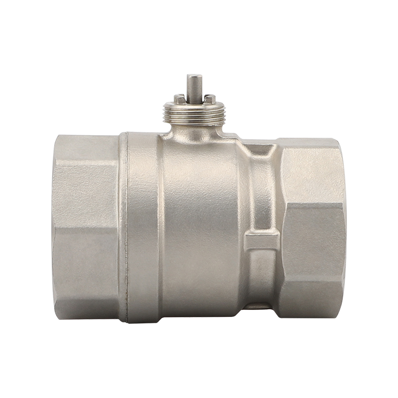 DN50 two-way Valve Body Pipe thread G Stainless steel