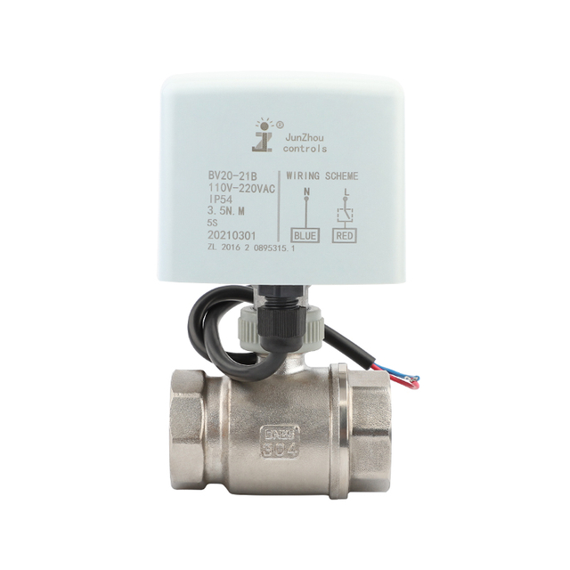 BV20-25-2 Stainless steel