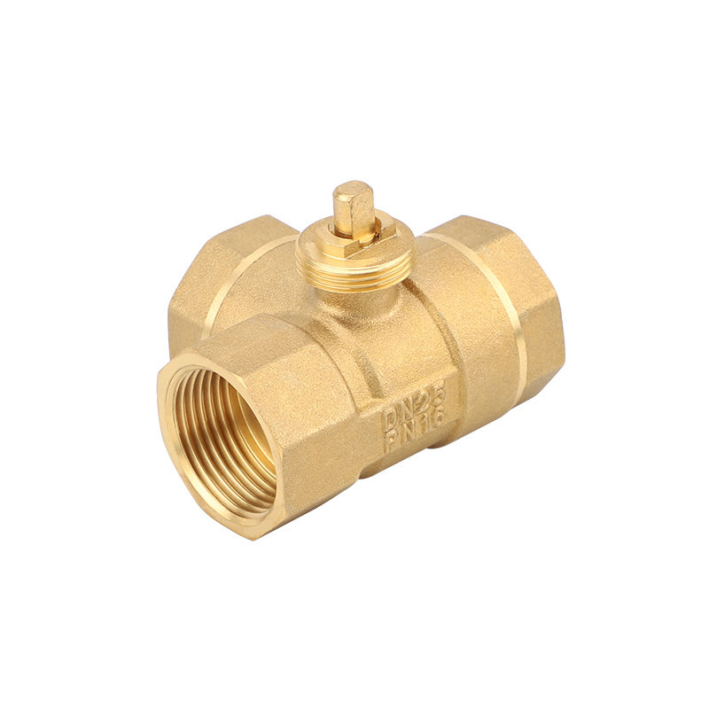 DN25 tee valve body Pipe thread G