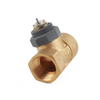 DN25 two-way Brass Valve Body Pipe thread G 