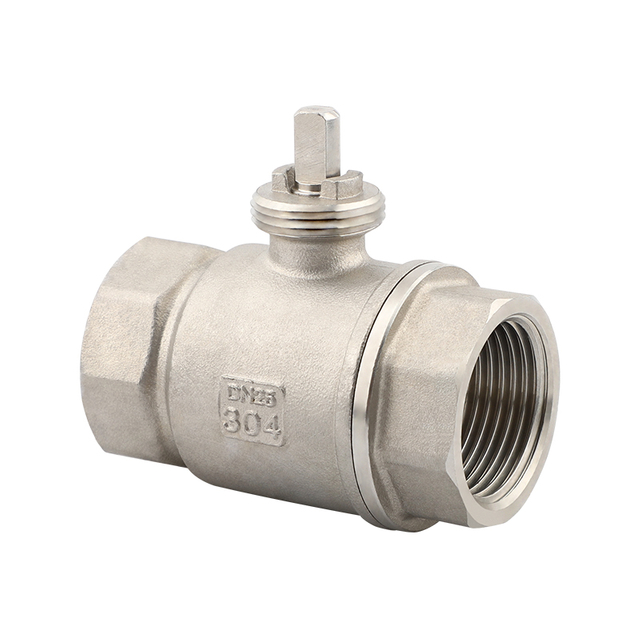 DN25 two-way Stainless steel