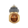 DN25 two-way Brass Valve Body Pipe thread G 