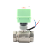 BV24-25-2 Stainless steel
