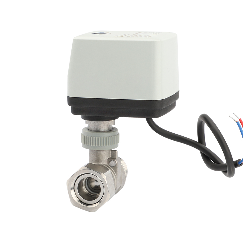 BV2019-20-2 Stainless steel Internal thread, external thread
