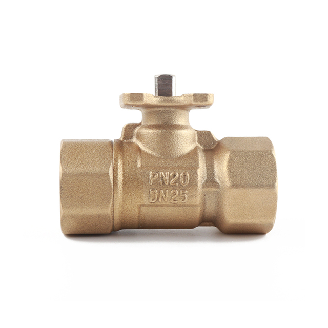 DN25 two-way Valve Body