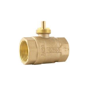 DN25 two-way Valve Body Pipe thread G