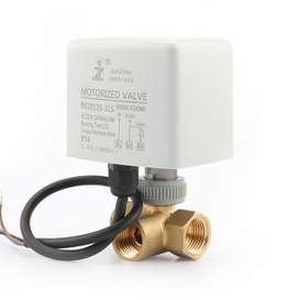 Electric water valve